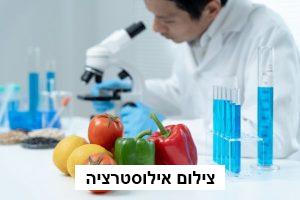 תפקידו של טכנולוג מזון בהפקת רישיון יצרן מזון