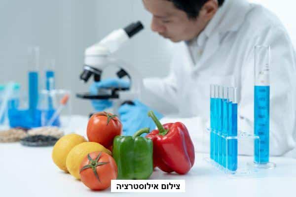 תפקידו של טכנולוג מזון בהפקת רישיון יצרן מזון
